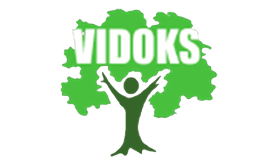 VIDOKS logo